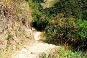 Cusco: 2-dages kort Inka-trail-tur til Machupicchu