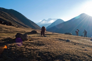 Cusco: 4-Day Hiking Trek to Machu Picchu with Lunches