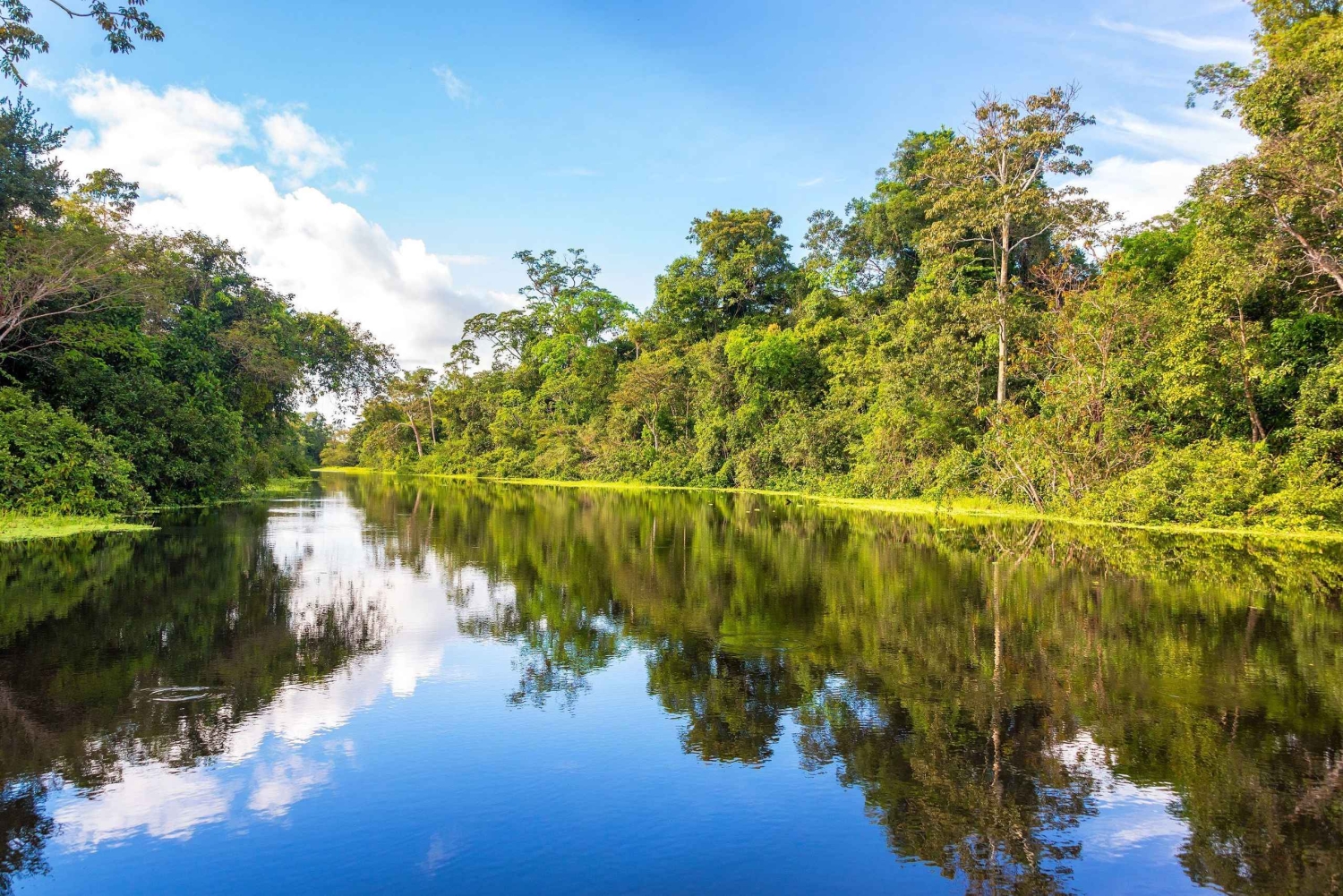 Z Cusco: 6-dniowa wycieczka do Parku Narodowego Manu