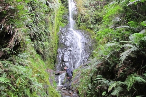 Z Cusco: 6-dniowa wycieczka do Parku Narodowego Manu