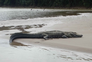 Z Cusco: 6-dniowa wycieczka do Parku Narodowego Manu