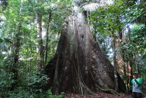 Z Cusco: 6-dniowa wycieczka do Parku Narodowego Manu