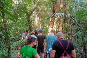 Z Cusco: 6-dniowa wycieczka do Parku Narodowego Manu