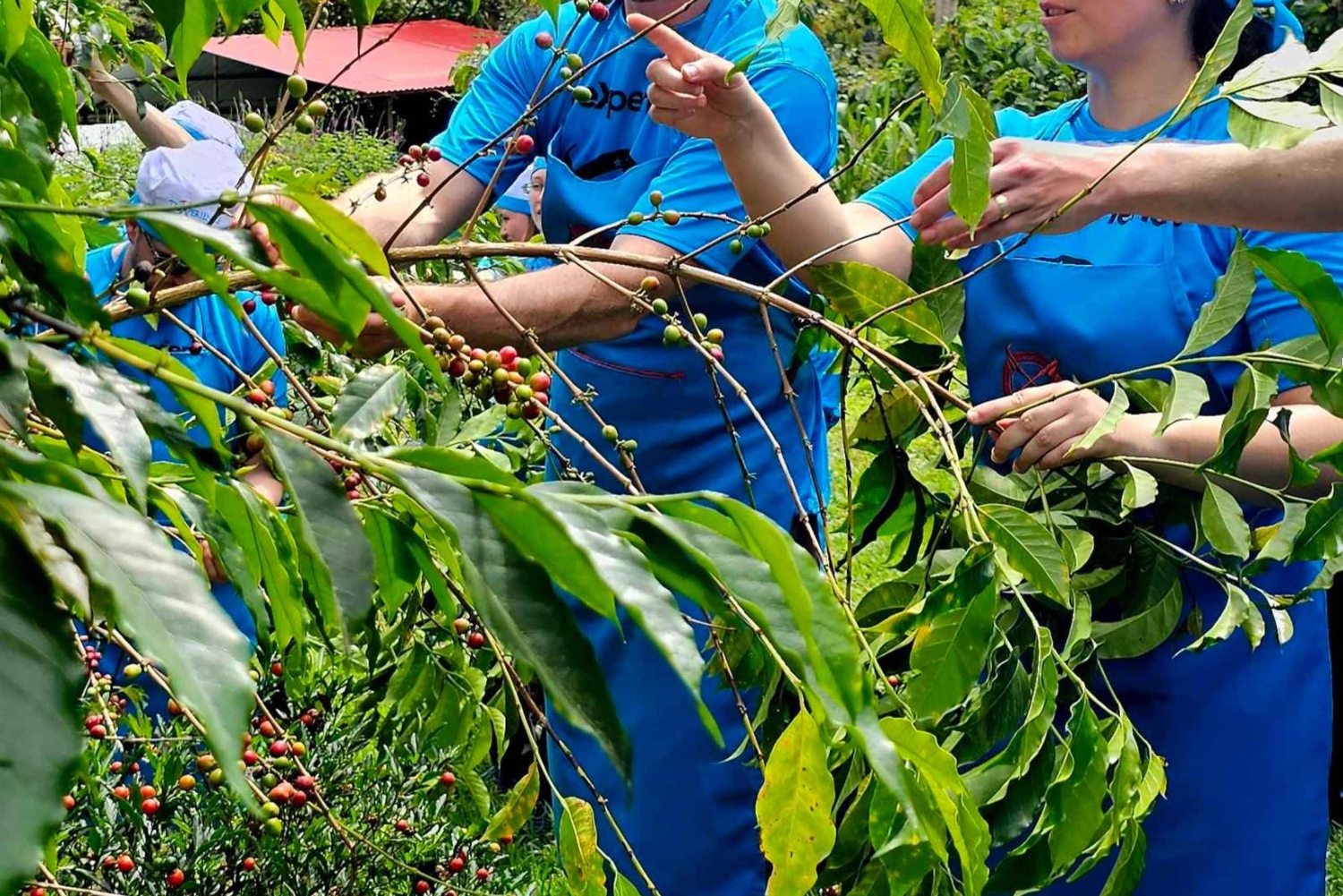 Cusco: 4-Day Salkantay Trek to Machu Picchu, Panoramic Train