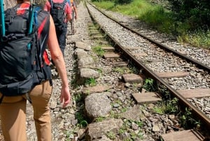 Cusco: 4-dages Salkantay Trek til Machu Picchu, panoramatog