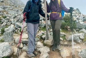 Cusco: 4-dages Salkantay Trek til Machu Picchu, panoramatog