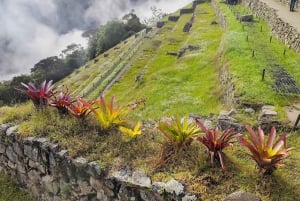 Cusco: 4-dages Salkantay Trek til Machu Picchu, panoramatog
