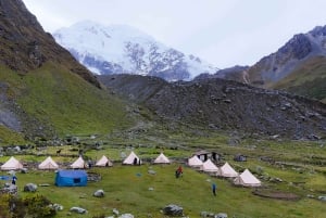 Cusco: 4-dages Salkantay Trek til Machu Picchu, panoramatog