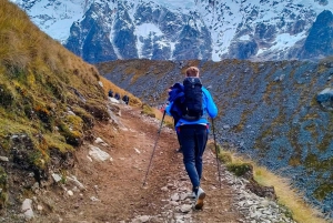 Cusco: 4-Day Salkantay Trek to Machu Picchu, Panoramic Train