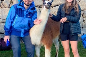 Cusco: 4-Day Salkantay Trek to Machu Picchu, Panoramic Train