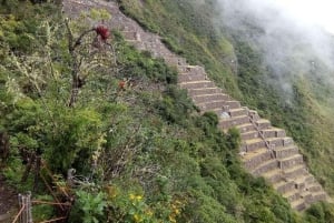 Cusco : Circuit de 4 jours à Choquequirao, la cité inca cachée