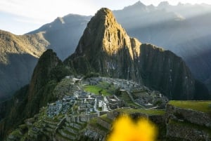 Cusco: 5-dniowy trekking z Salkantay do Machu Picchu z biletami