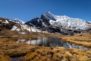 Cusco: 7 Lagoons of Ausangate Hiking Day Trip |with Lunch|