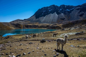 Cusco: 7 lagoas do Ausangate Full Day