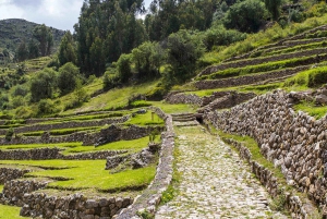 Cusco: Acclimatization Hike with Box Lunch & Hotel Transfers
