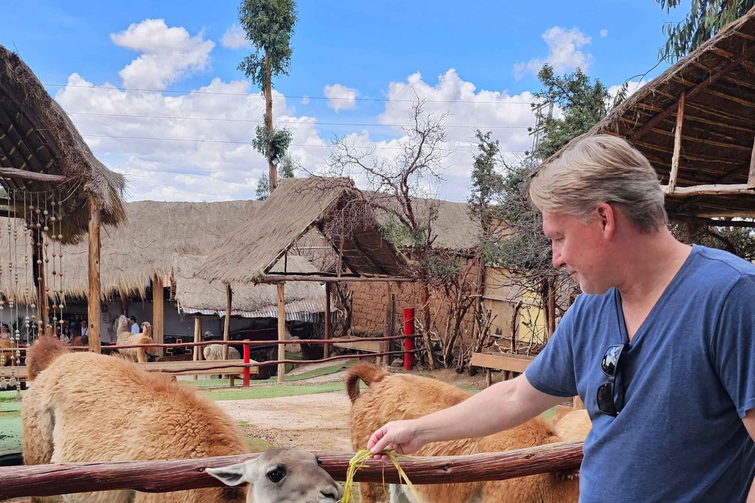 Cusco: Alpaca and Llama Farm Tour w/ Transfer & Weaving Demo