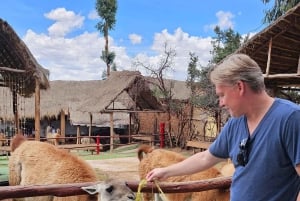 Cusco: Alpaca and Llama Farm Tour w/ Transfer & Weaving Demo