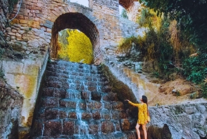 Cusco: Animal Sanctuary, Empanada Workshop, & City Tour