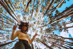 Cusco: Animal Sanctuary, Empanada Workshop, & City Tour