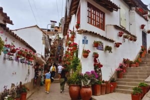 Cusco: Animal Sanctuary, Empanada Workshop, & City Tour