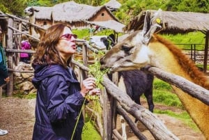 Cusco: Animal Sanctuary, Empanada Workshop, & City Tour