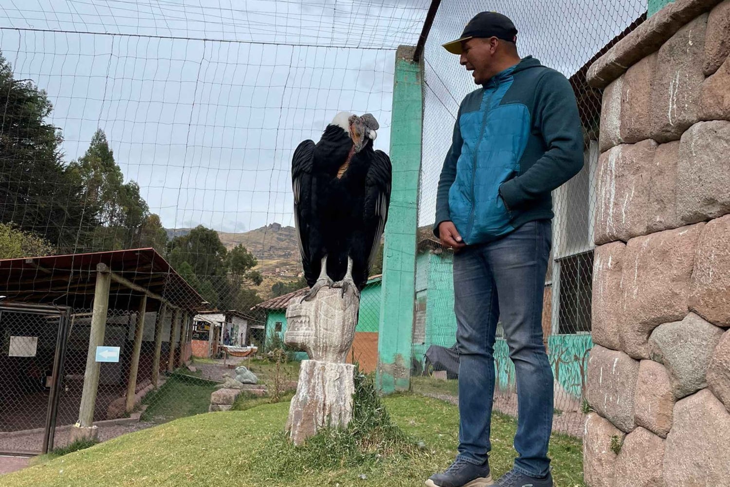 Cusco: Djurreservatstur med räddade djur