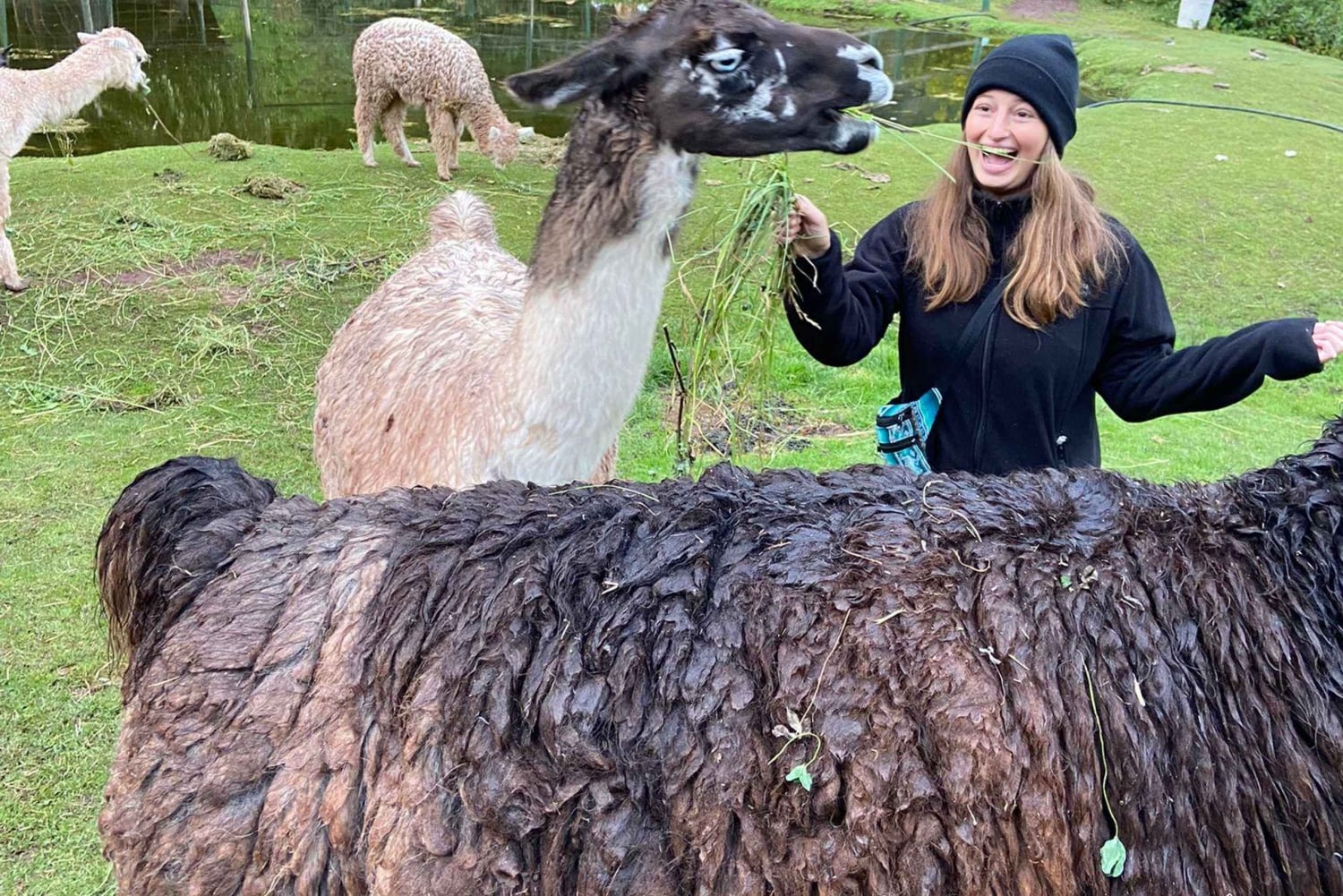 Cusco: Djurreservatstur med räddade djur