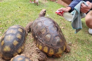 Cusco: Djurreservatstur med räddade djur