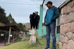 Cusco: Djurreservatstur med räddade djur