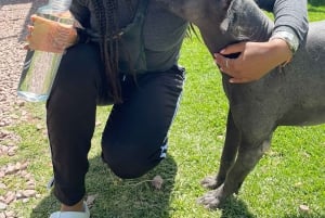 Cusco: Djurreservatstur med räddade djur