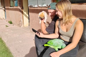 Cusco: Djurreservatstur med räddade djur