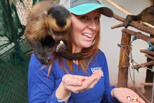 Cusco: Djurreservatstur med räddade djur