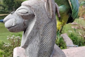 Cusco: Djurreservatstur med räddade djur