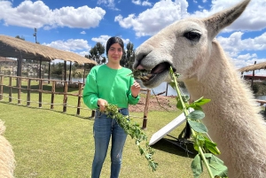 Cusco: Archeological Sites Tour and Forest Photo Experience