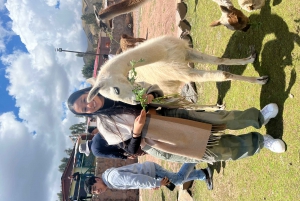 Cusco: Archeological Sites Tour and Forest Photo Experience