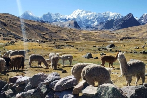 Cusco: Ausangate-Wanderung | 7 Lagunen | Tagestour mit Mittagessen