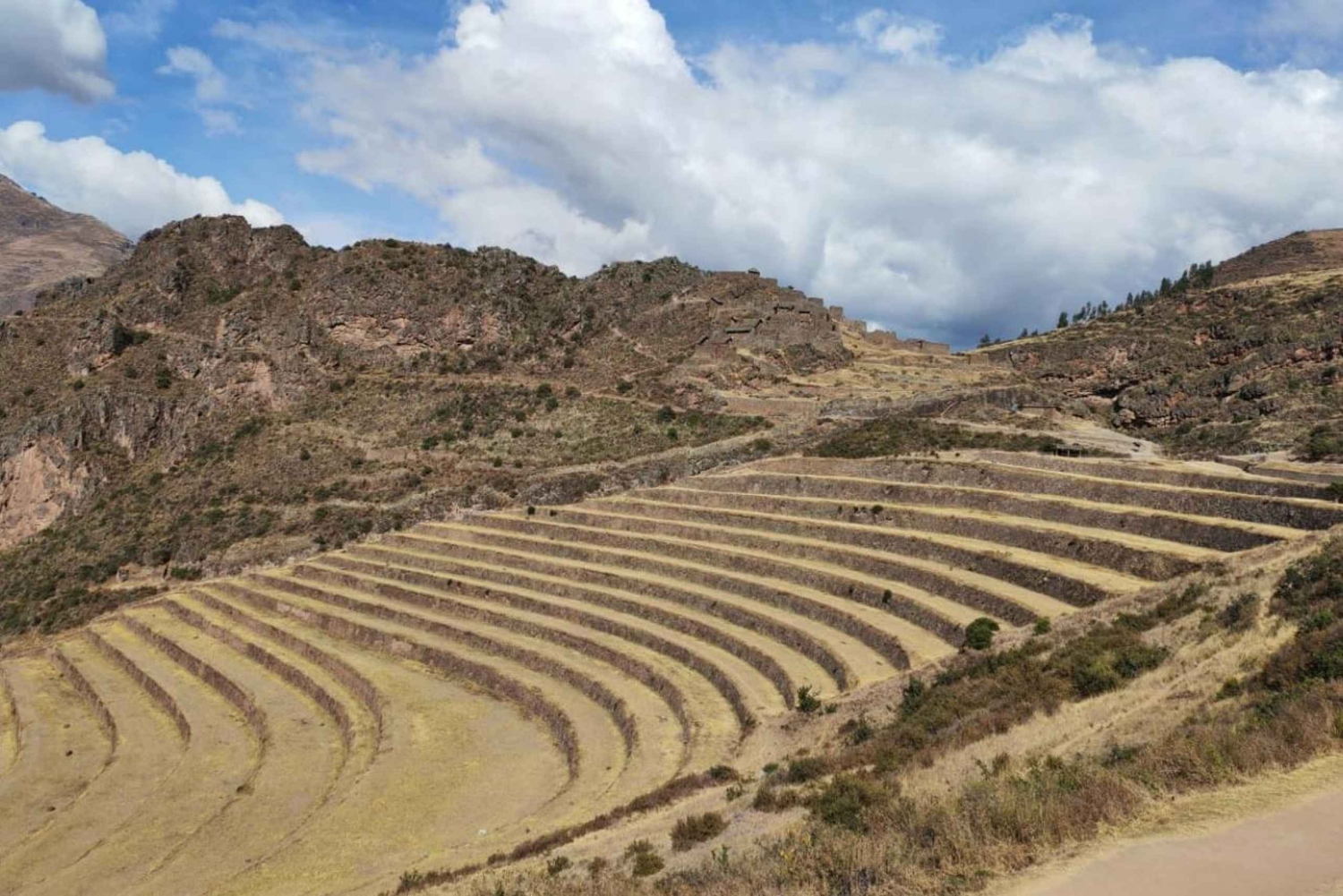 Cusco: Awanacancha – Den heliga dalen Pisac, Moray och Ollanta.