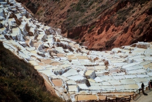 Cusco: Awanacancha – Den heliga dalen Pisac, Moray och Ollanta.