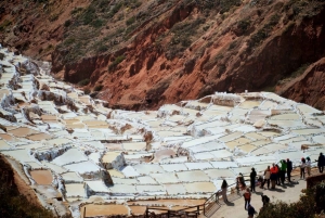 Cusco: Awanacancha – Den heliga dalen Pisac, Moray och Ollanta.