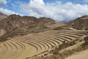 Cusco: Awanacancha – Den heliga dalen Pisac, Moray och Ollanta.