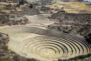 Cusco: Awanacancha – Den heliga dalen Pisac, Moray och Ollanta.