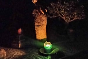 Cusco: Ayahuasca-seremonia yöllä – yksityinen
