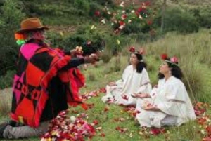 Cusco: Ayahuasca Retreat+5 ancestral techniques,5 Days (VIP)