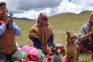 Cusco: Ayahuasca Retreat+5 ancestral techniques,5 Days (VIP)