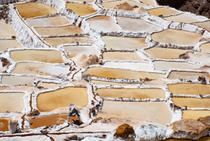 Desde Cusco: Valle Sagrado y Minas de Sal de Maras con Almuerzo