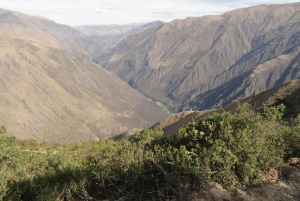 Cusco: Chonta Canyon og Condor Flight Tour med frokost