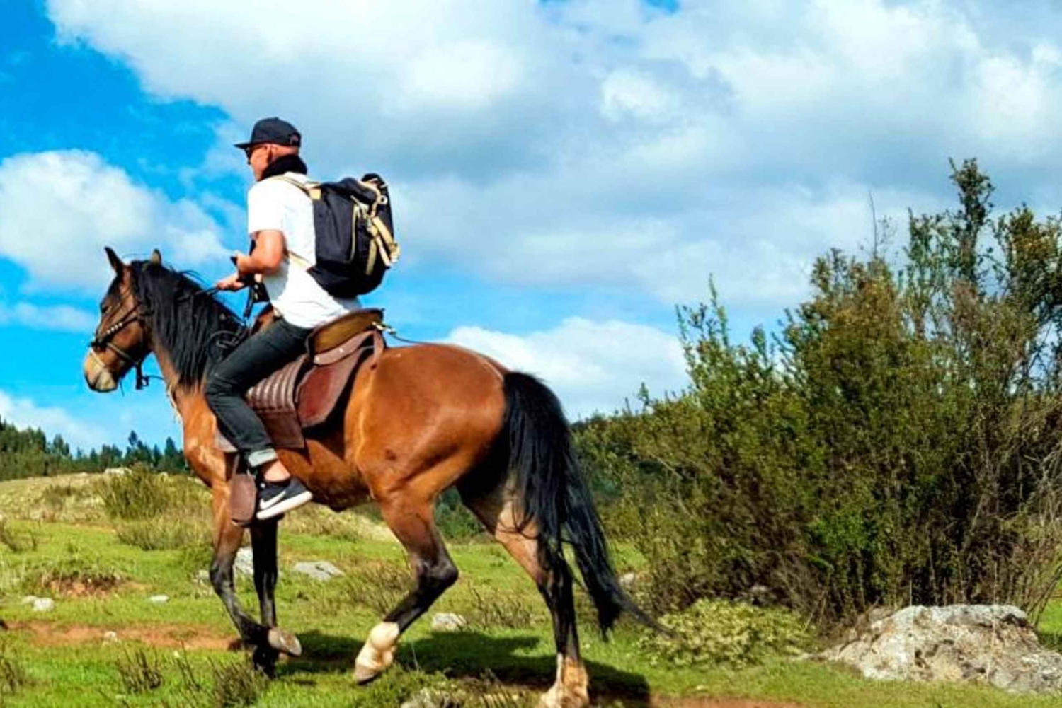 Cusco: Circuit of the “Four ruins” - horseback ride
