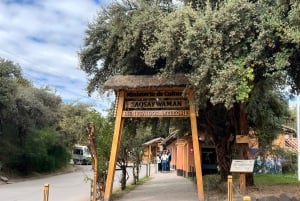 Cusco: City Tour with Rituals, Viewpoints, and Culture