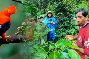 Cusco: Cocalmayo Thermal Baths| 2 Days | Coffee Plantation
