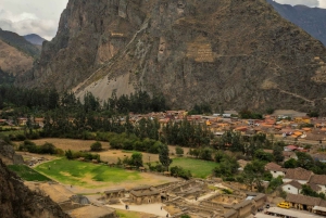 Cusco Coffee Tour: 1 Day Cloud Forest Experience